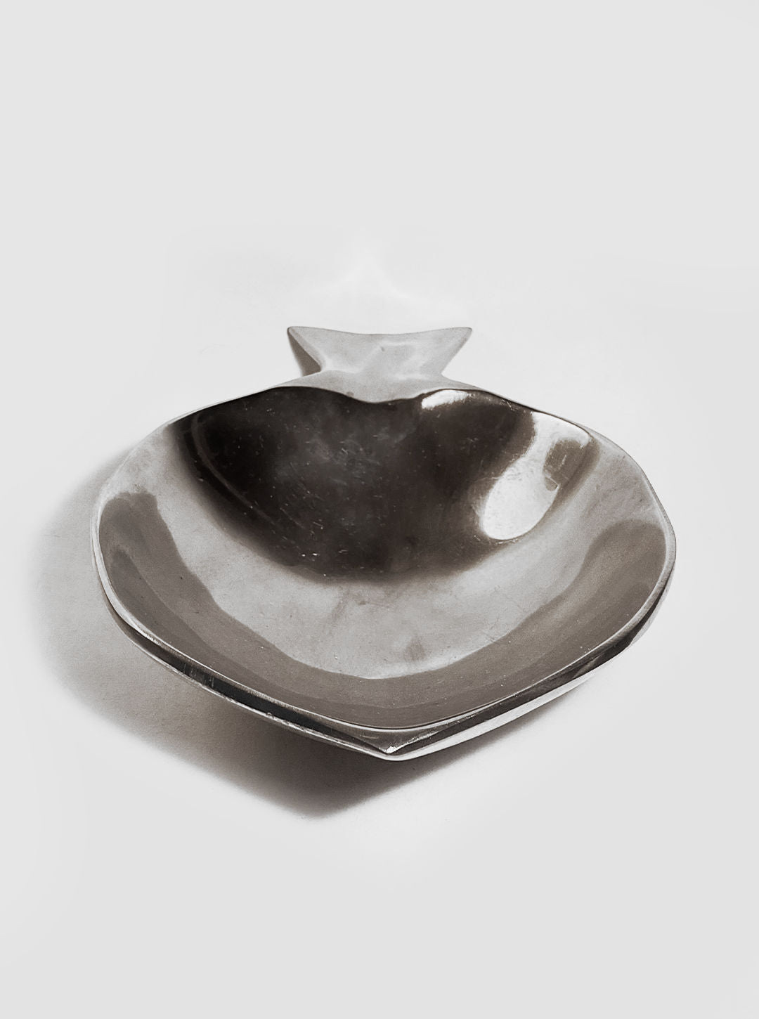 Silver Fish Dish