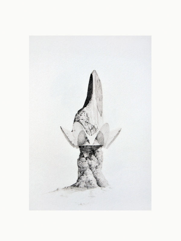 Cahiers d'Art Revue No. 1 2012: Ellsworth Kelly Book