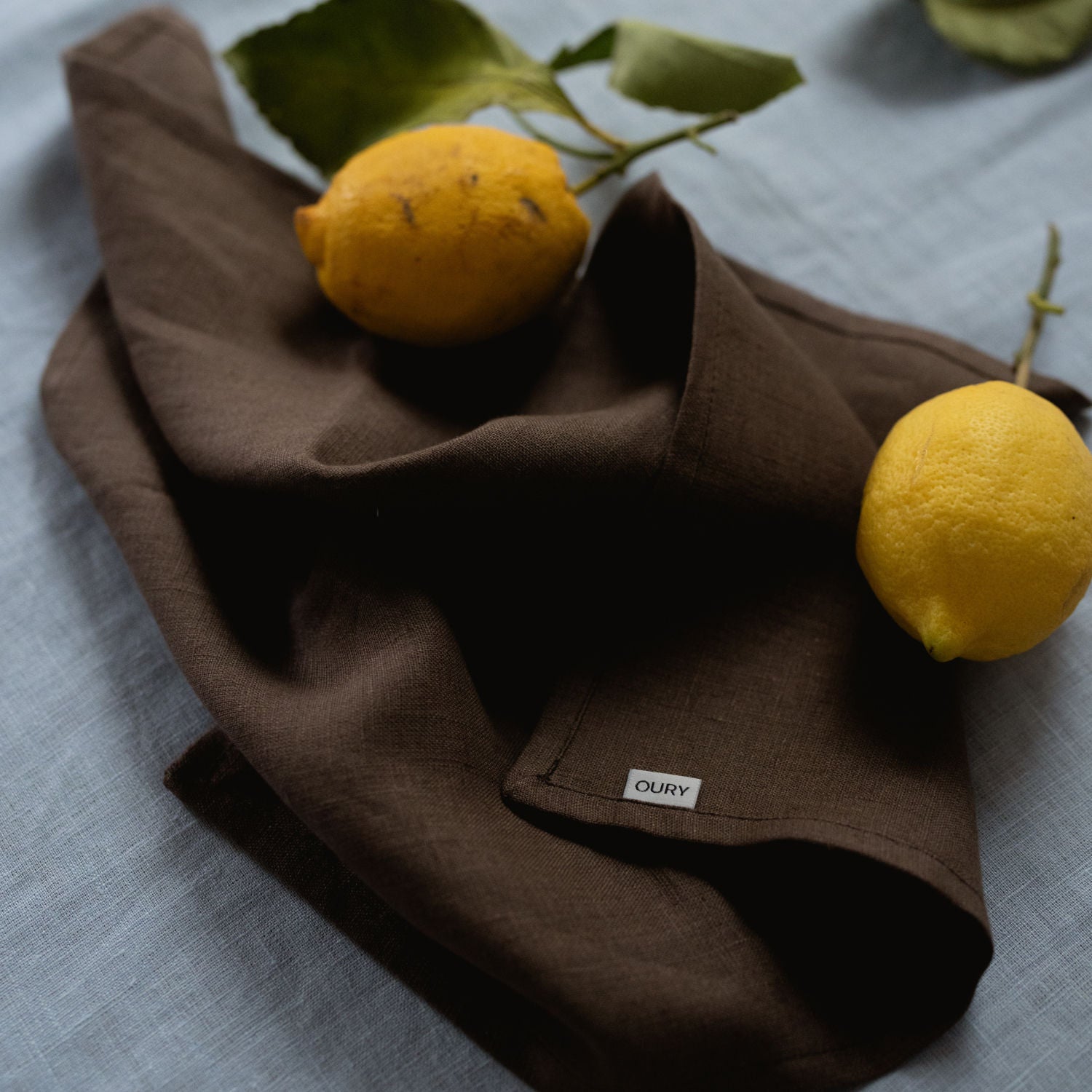 Brown Napkins (Set of 2)