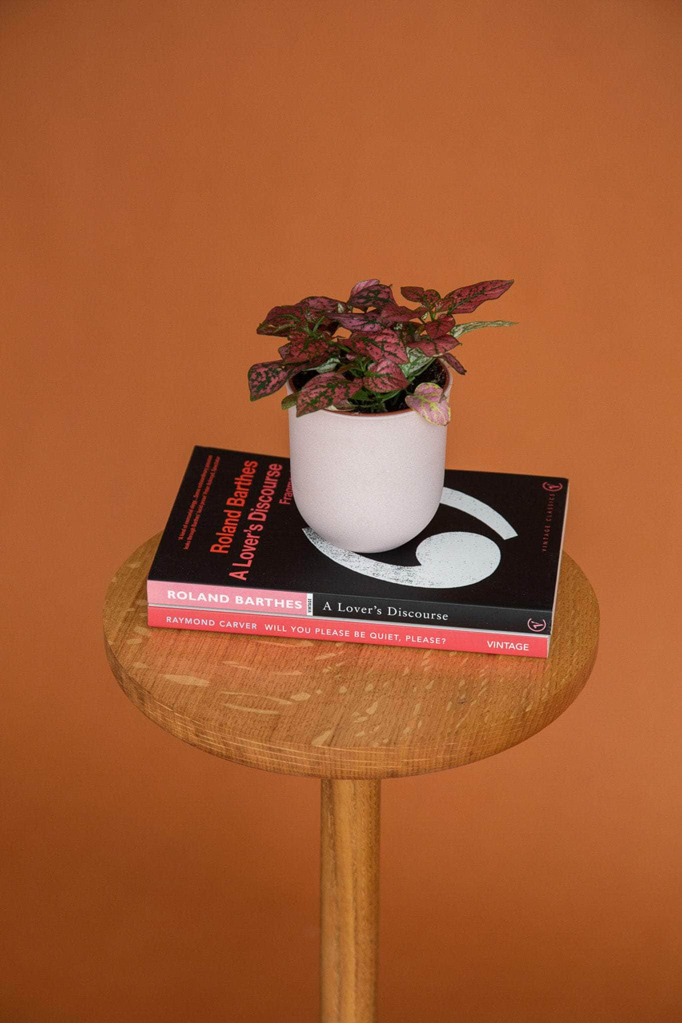 Circulo Side Table