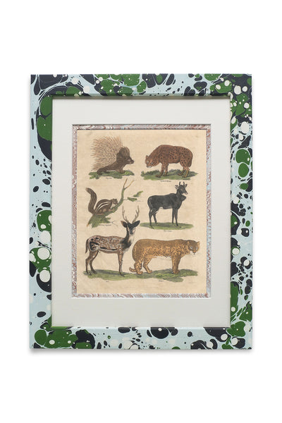 Buffon No.3 Glacier Framed Print