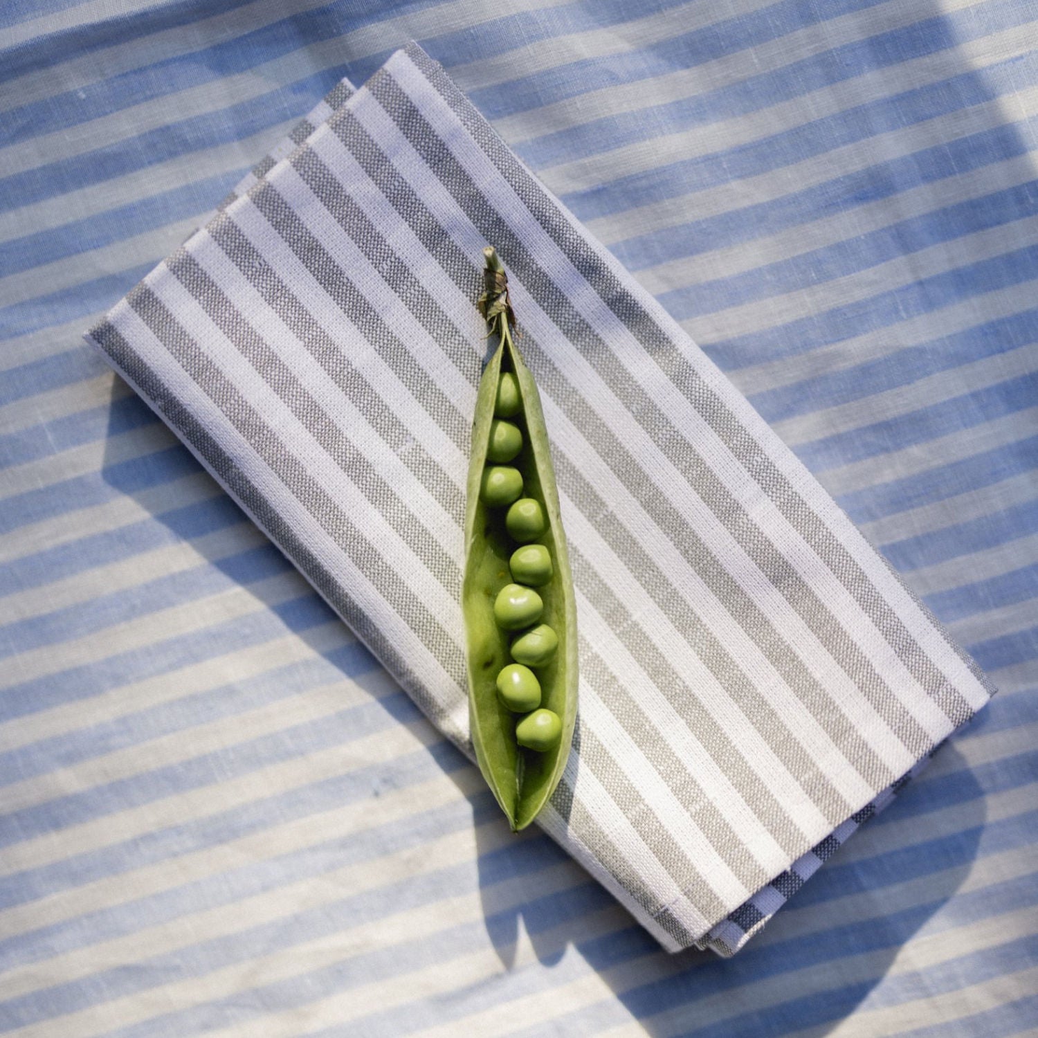 Grey Stripes Napkins (Set of 2)