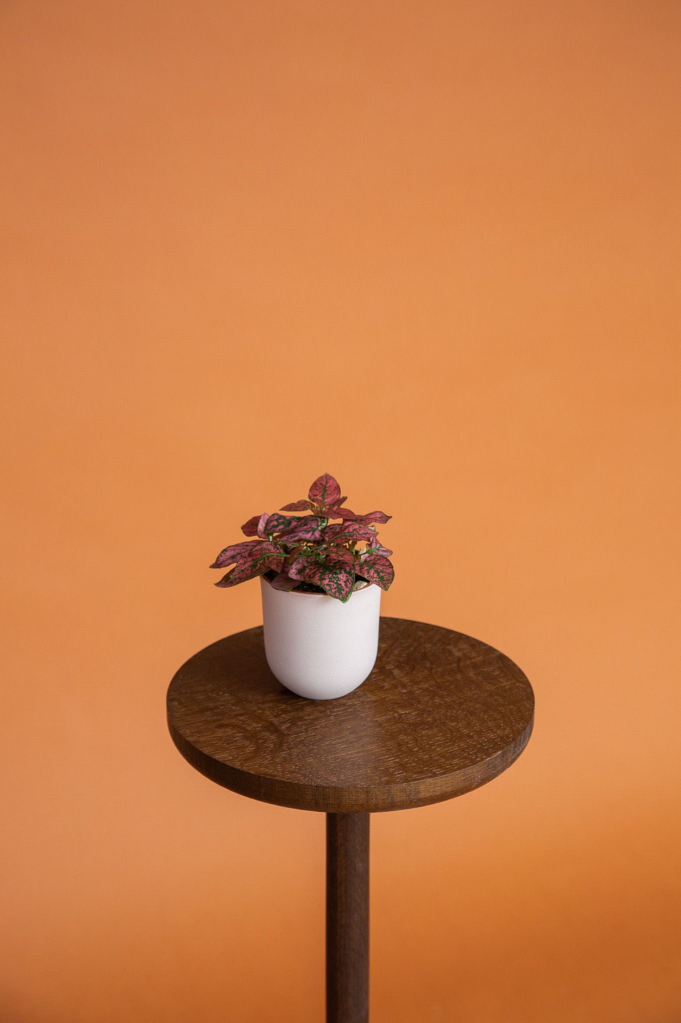 Brown Circulo Side Table