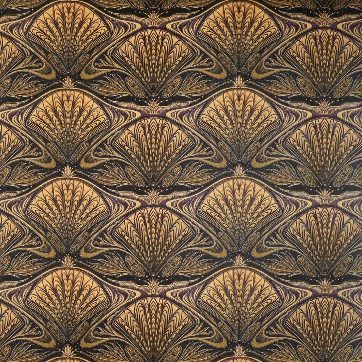 Oyster Wallpaper