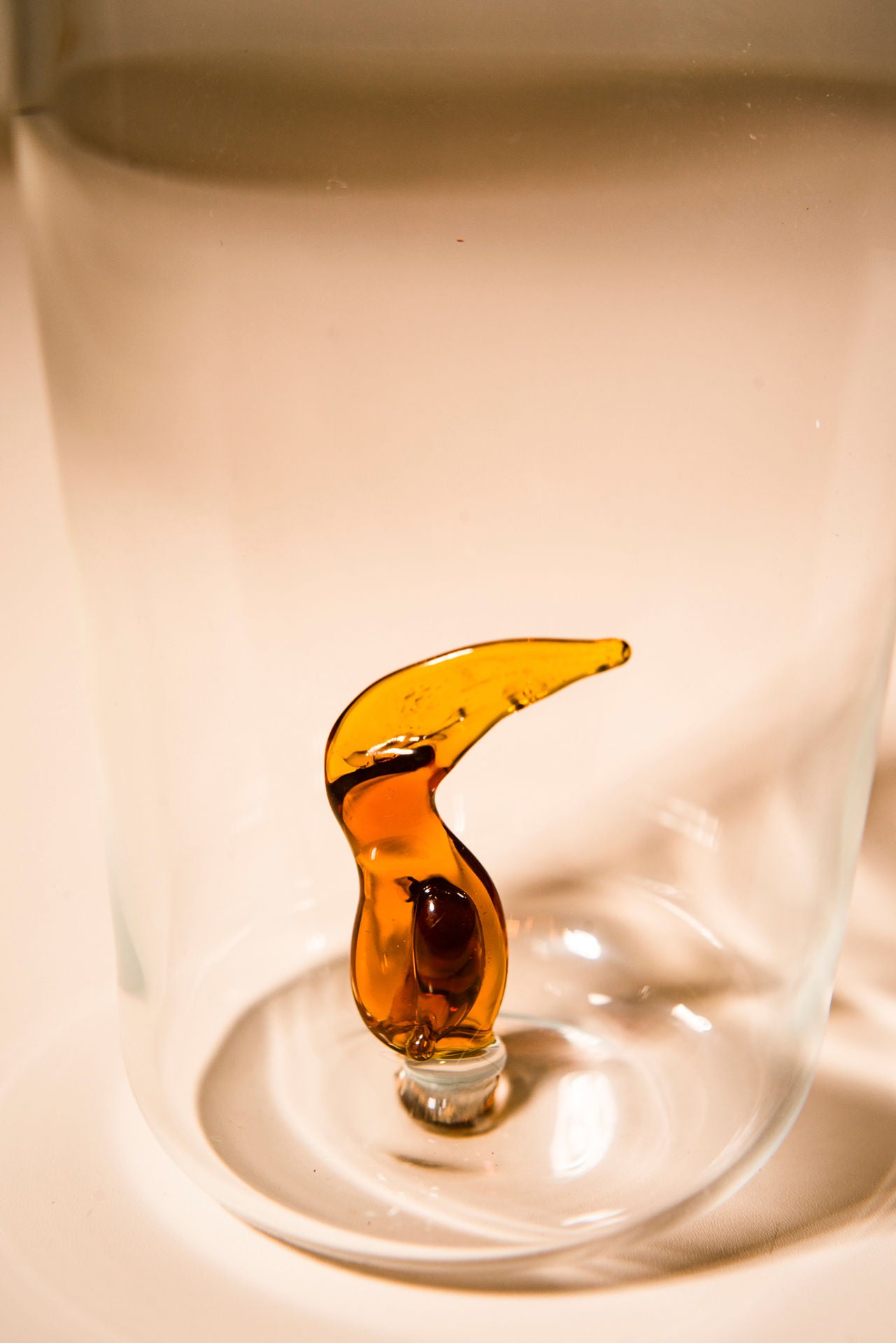 Toucan Glass (Set of 4)