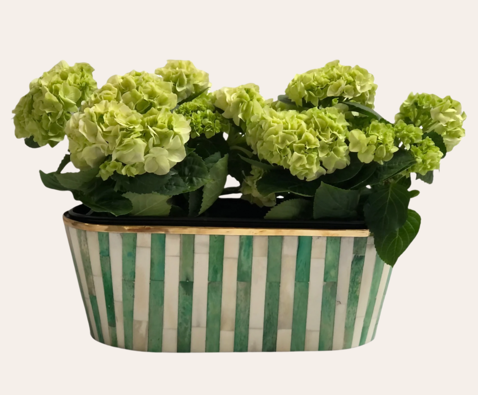 Oblong Inlay Planter | Large | Green | Striped