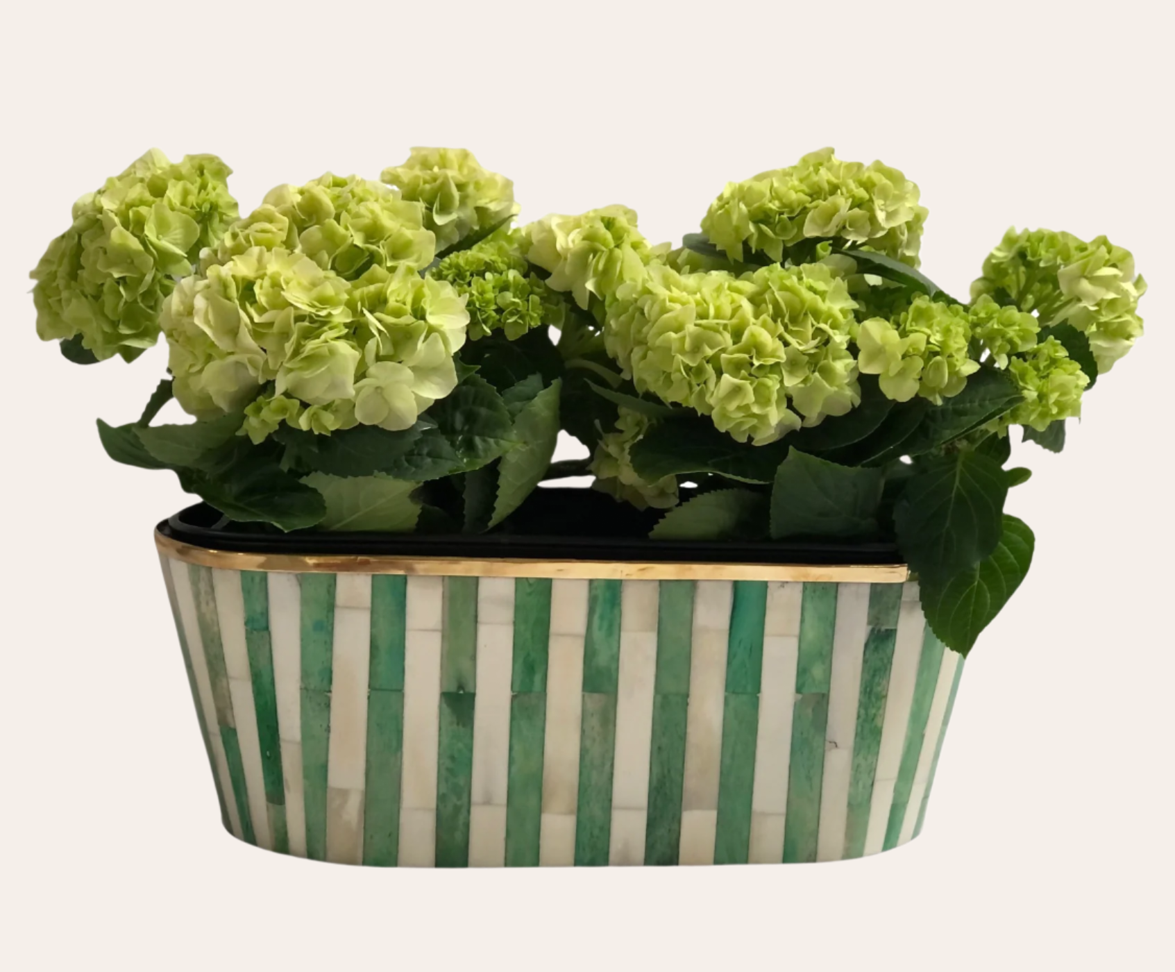 Oblong Inlay Planter | Large | Green | Striped