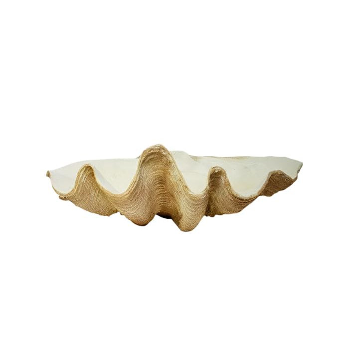Odyssey Shell Centerpiece - Casa by Josephine Jenno