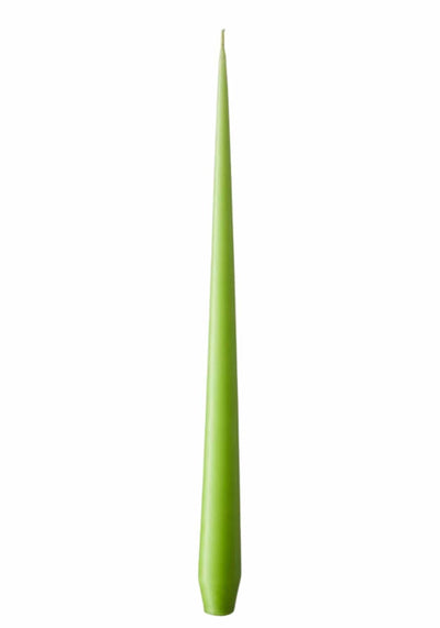 Olivia's Apple Bite Large Taper Candles - Casa by Josephine Jenno
