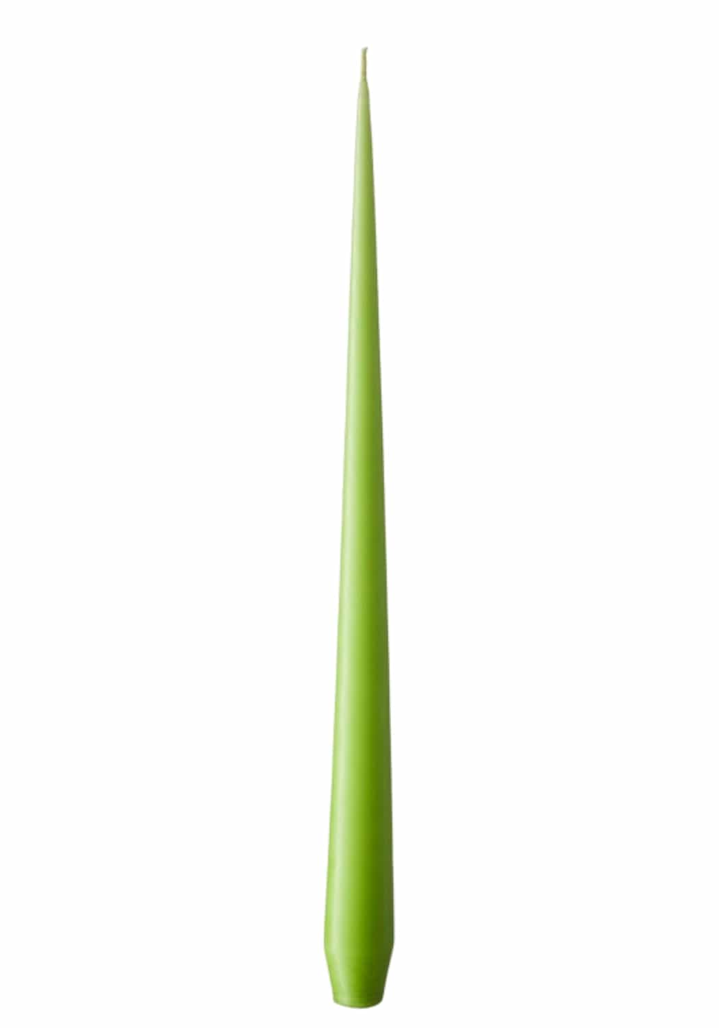 Olivia's Apple Bite Large Taper Candles - Casa by Josephine Jenno