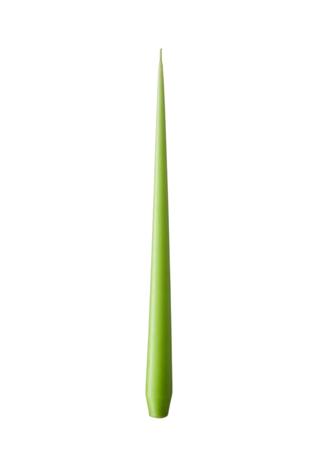 Olivia's Apple Bite Medium Taper Candles - Casa by Josephine Jenno