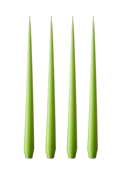 Olivia's Apple Bite Medium Taper Candles - Casa by Josephine Jenno