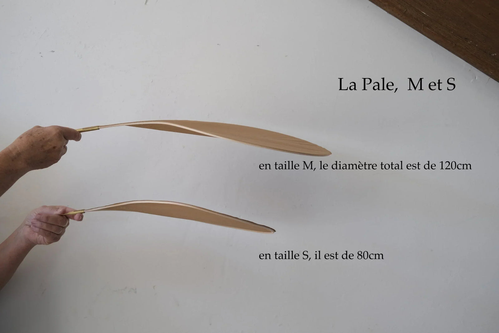 petales s et m .jpg