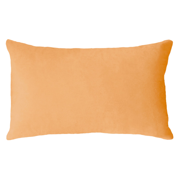 Scorpio Zodiac Needlepoint Pillow