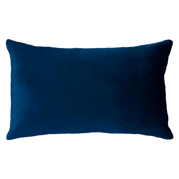 Funny Needlepoint Pillow – Netflix & Chill