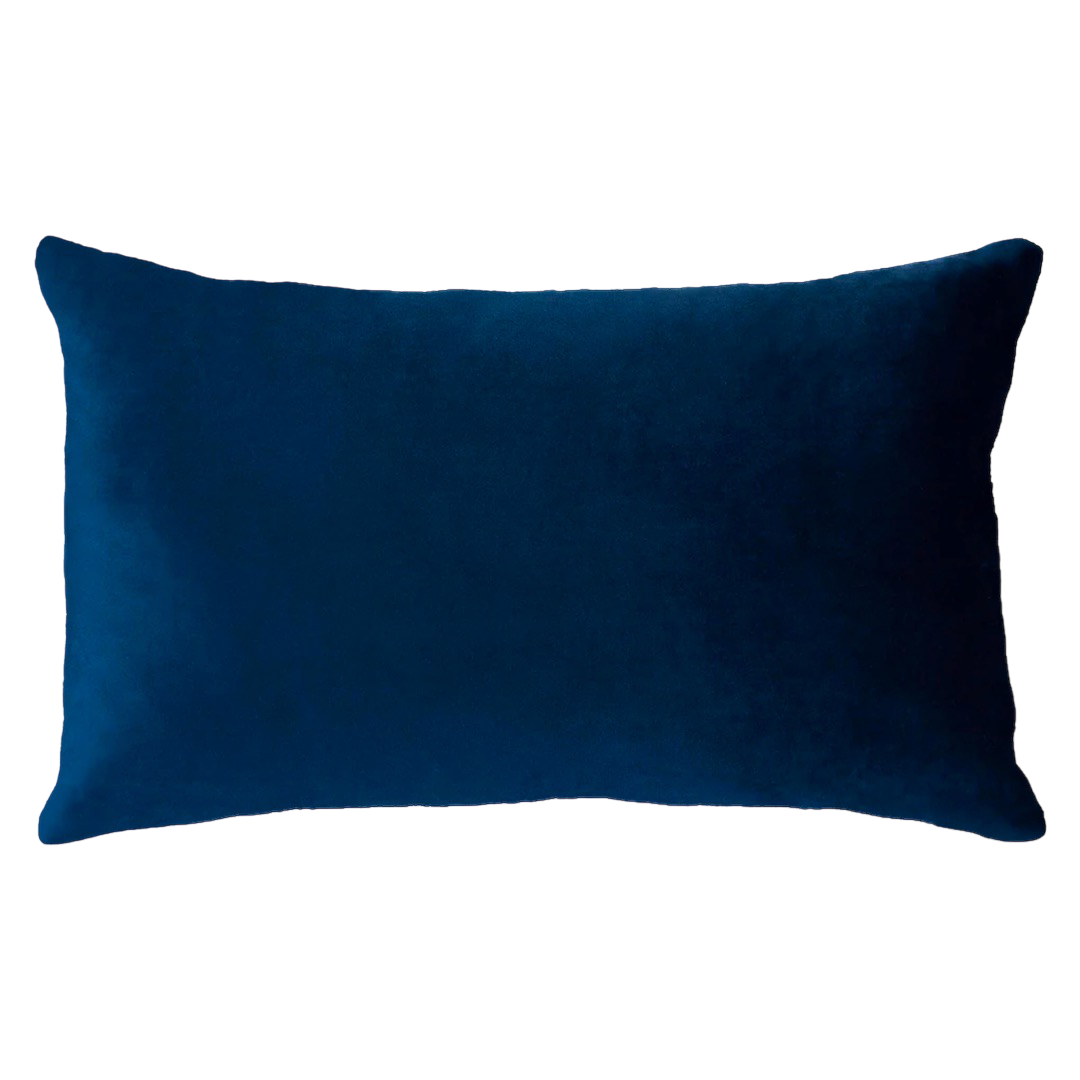 Netflix & Chill - Slogan Needlepoint Pillow