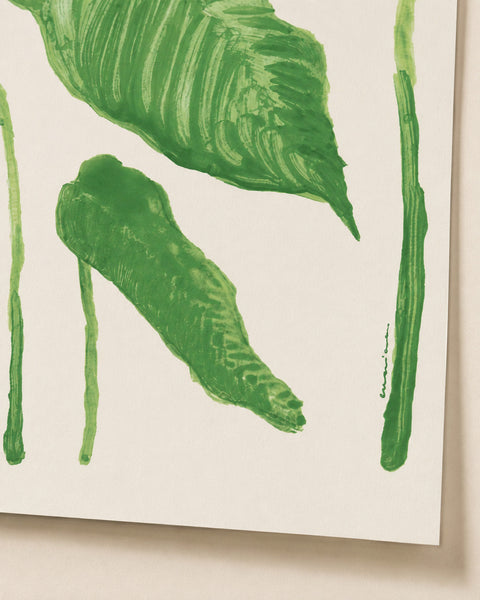 Planta - Print