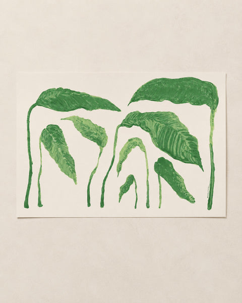 Planta - Print
