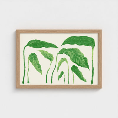 frame-natural
