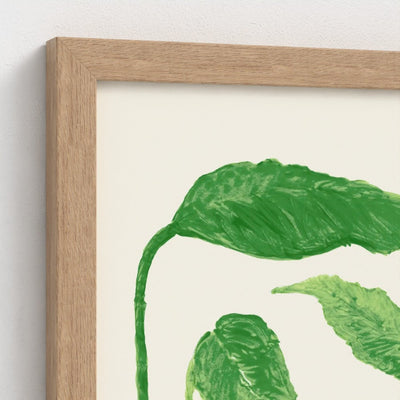 frame-natural