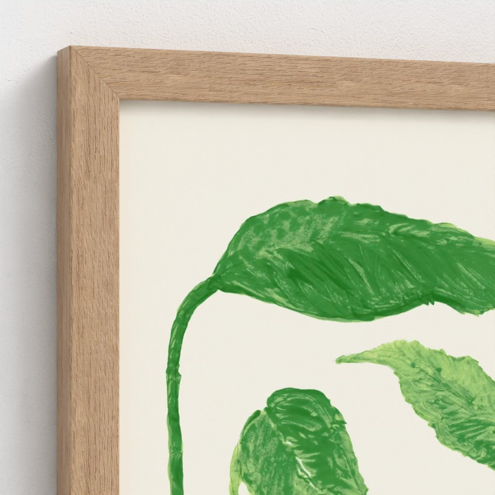 frame-natural