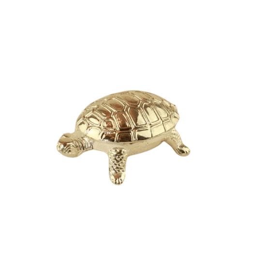 Vintage Tortoise Pillbox