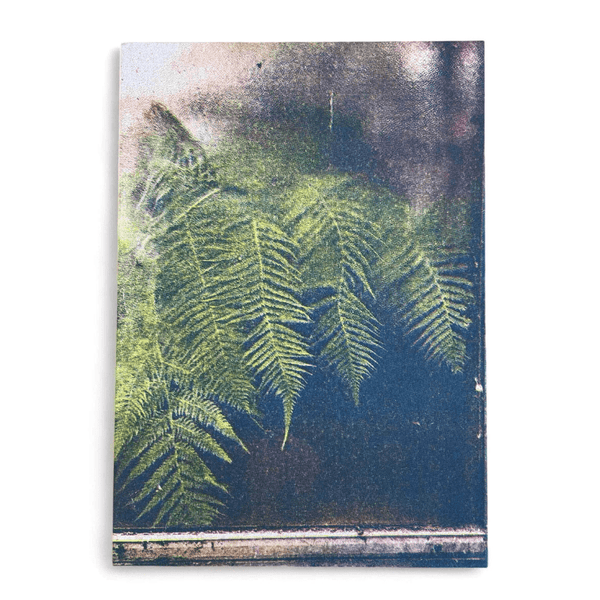 Ferns Against Botanical Window Print