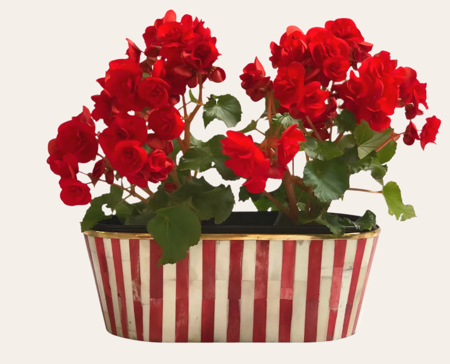 Oblong Inlay Planter | Large | Red | Striped