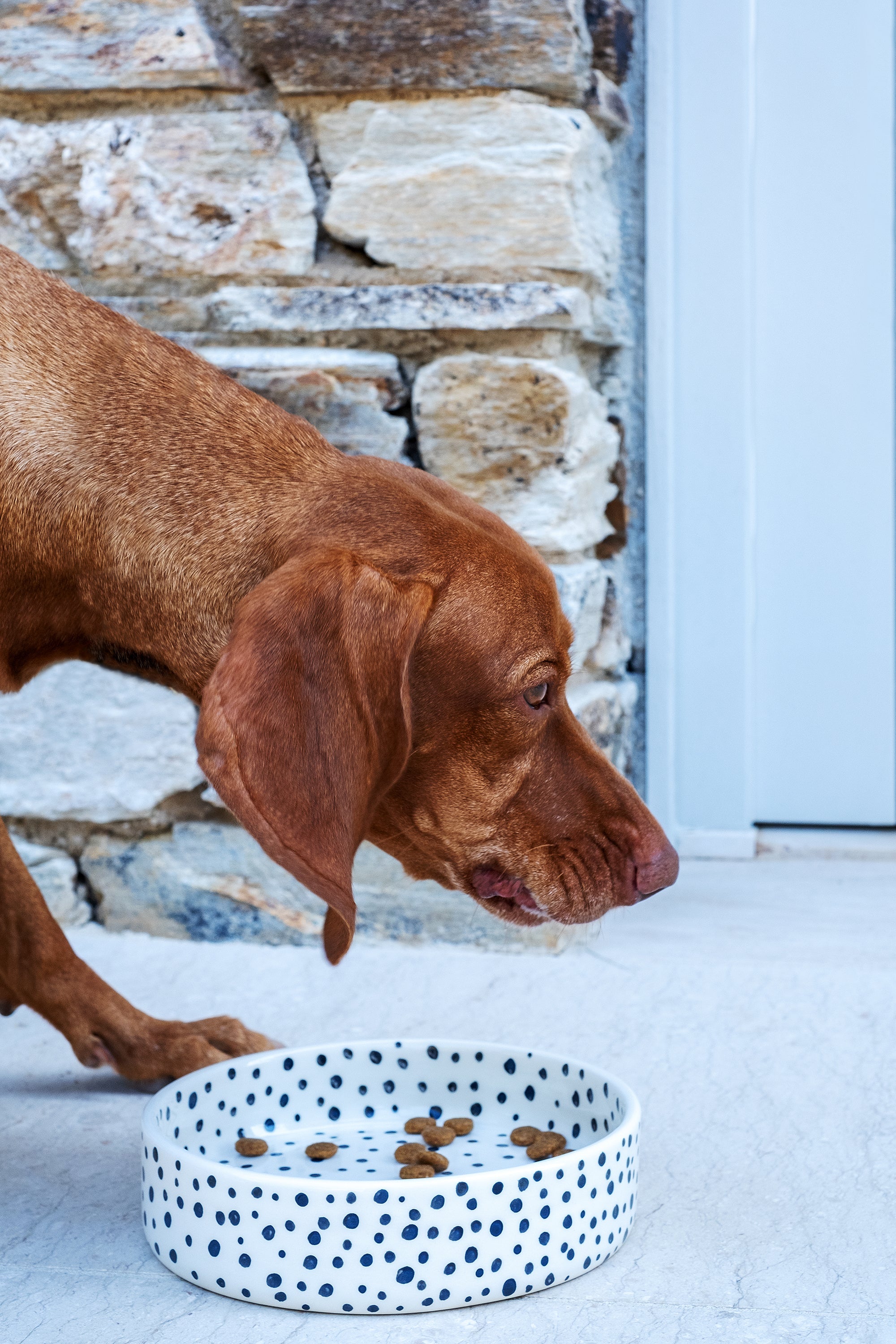 Handmade ceramic pet bowl with black spots pattern by Rhea Kalo, made in Athens