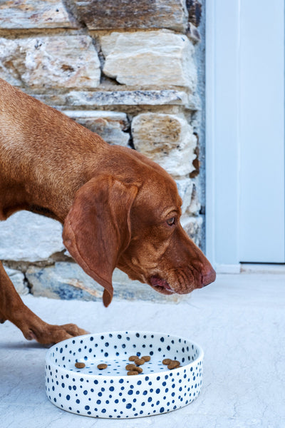 Handmade ceramic pet bowl with black spots pattern by Rhea Kalo, made in Athens