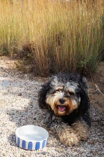 Handmade ceramic pet bowl with blue stripes by Rhea Kalo, made in Athens Greece