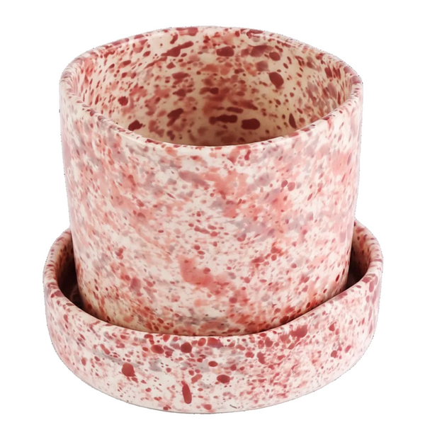 Hibiscus Splatter Planter