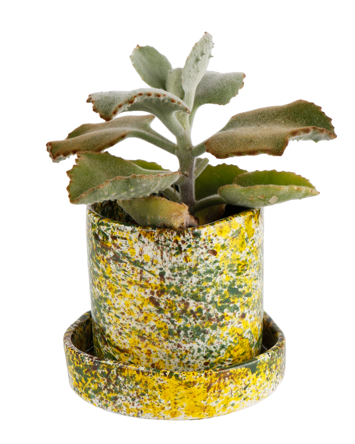 Yellow Forest Planter
