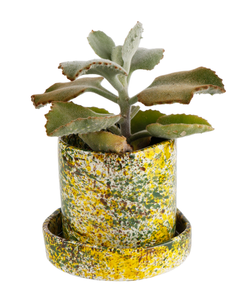 Yellow Forest Planter