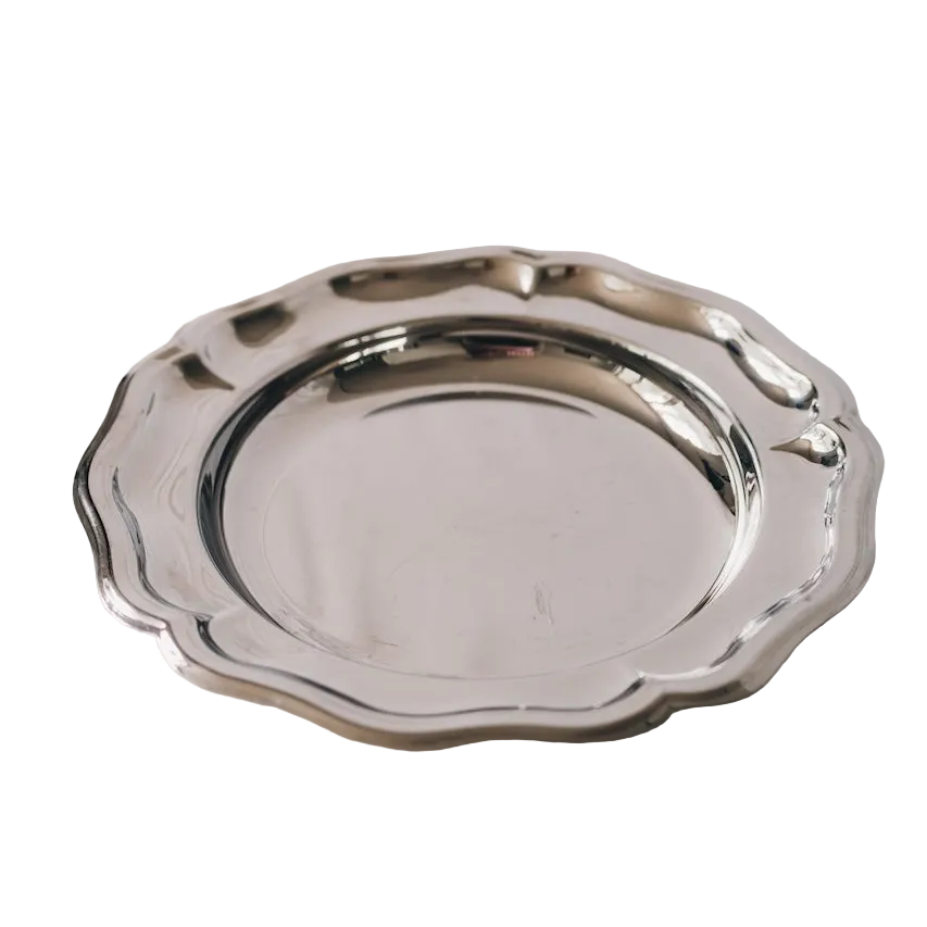 Classic Stainless Steel Dish
