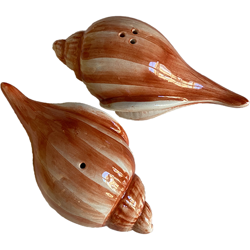 Seashell Salt & Pepper Shakers