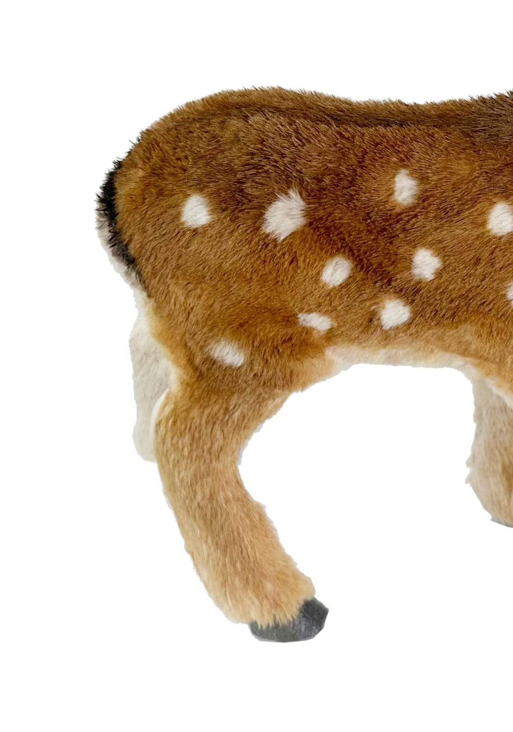 Bambi's Sophisticated Cousin: Spotted Deer - A pair
