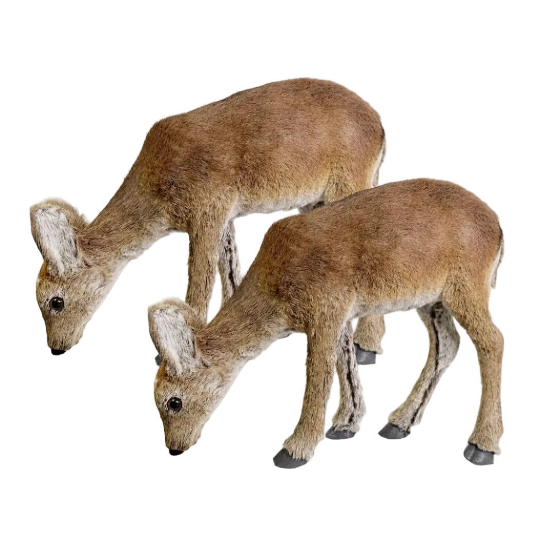 Peaceful Grazer: Brown Deer -A Pair