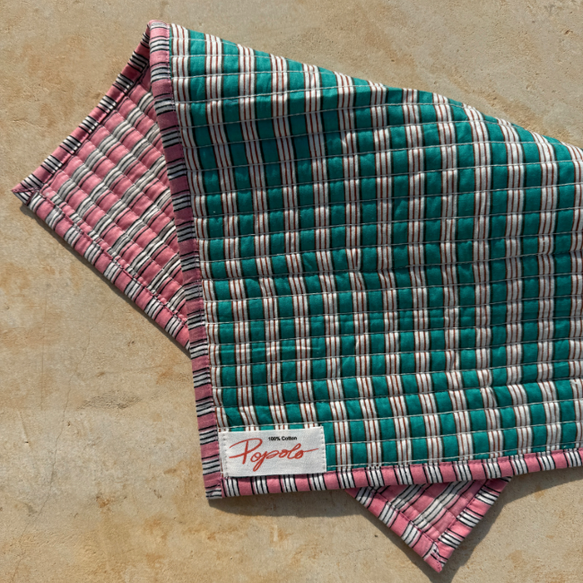 Pink And Green Striped Placemat