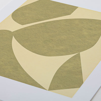 Settle Olive/Yellow