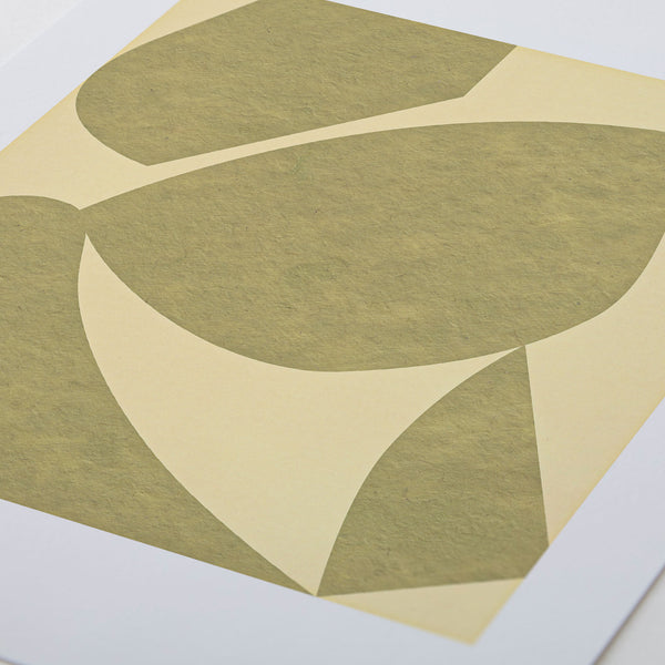 Settle Olive/Yellow