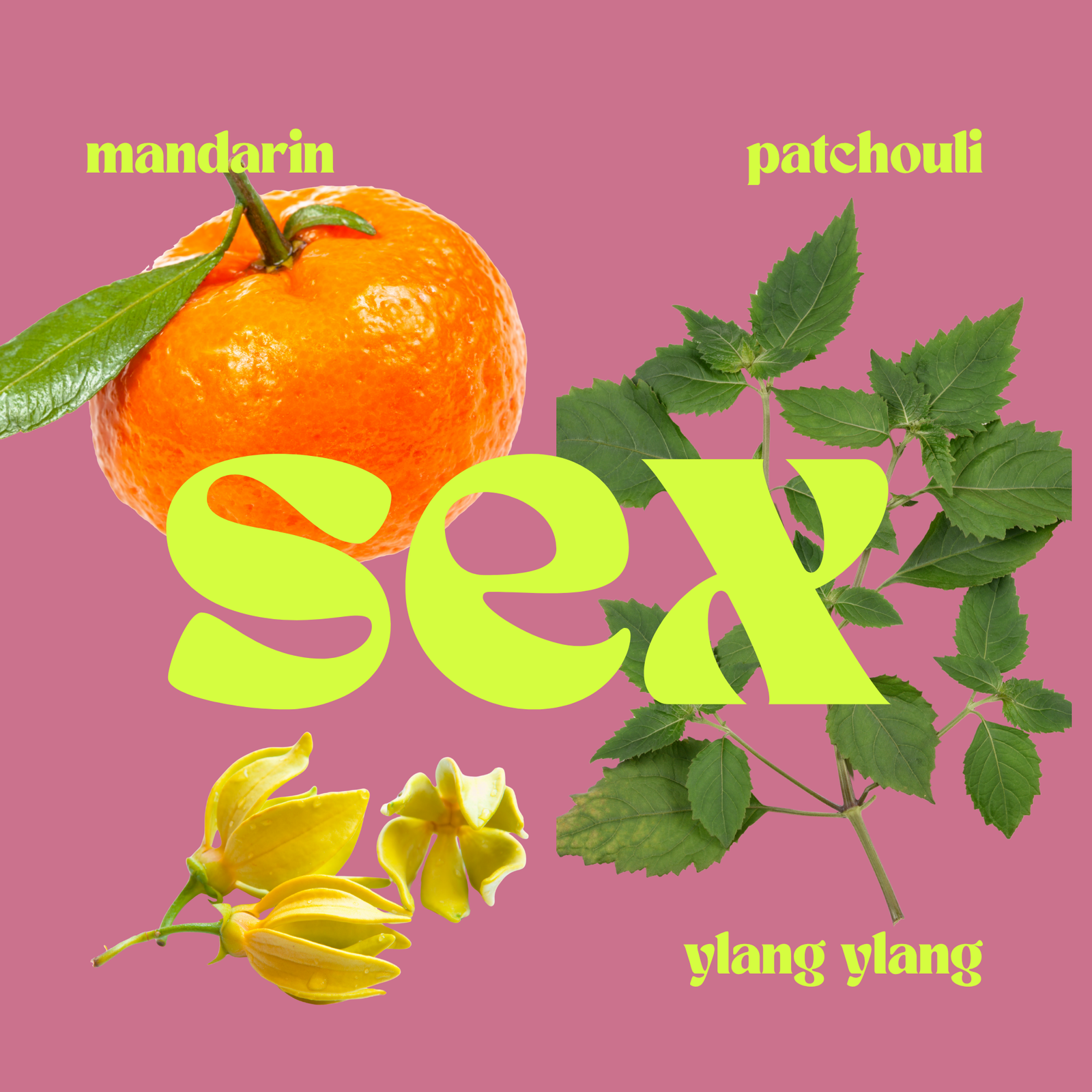 SEX: The Seductive Candle Refill