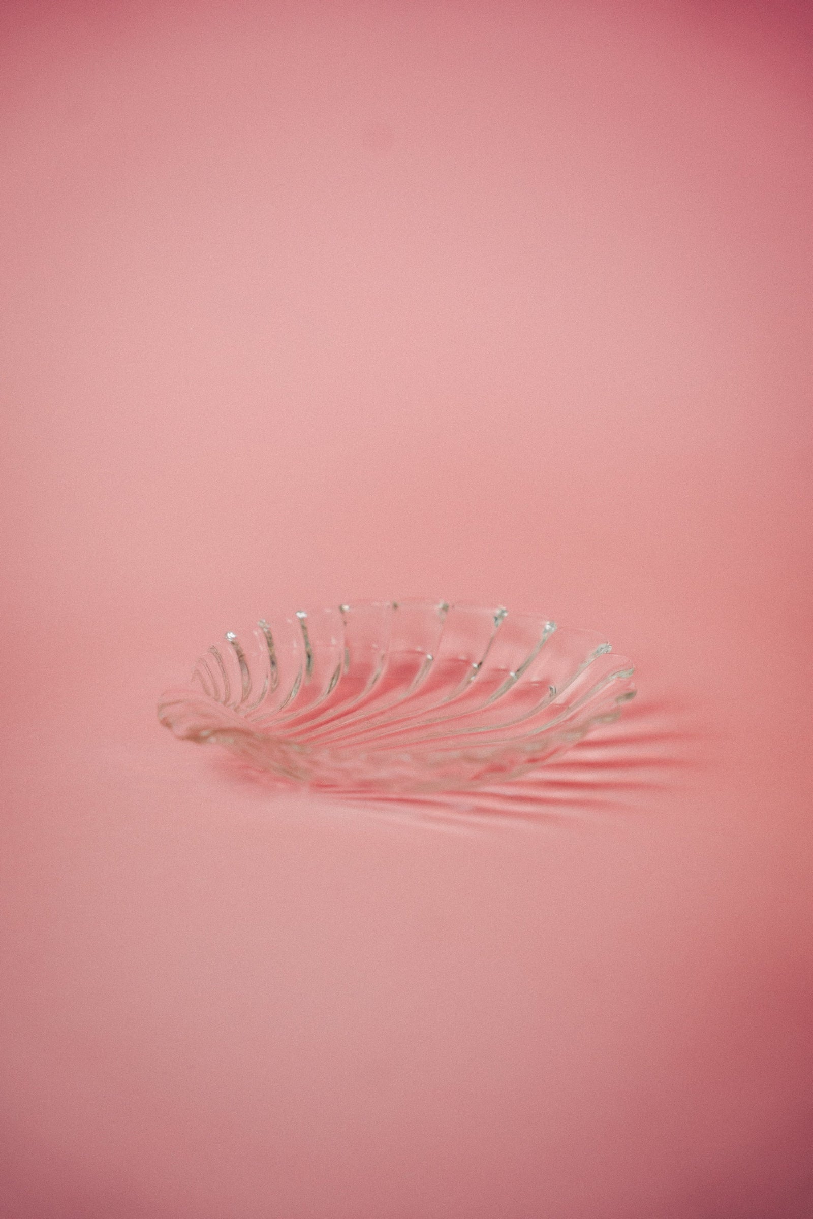 Shell Dish