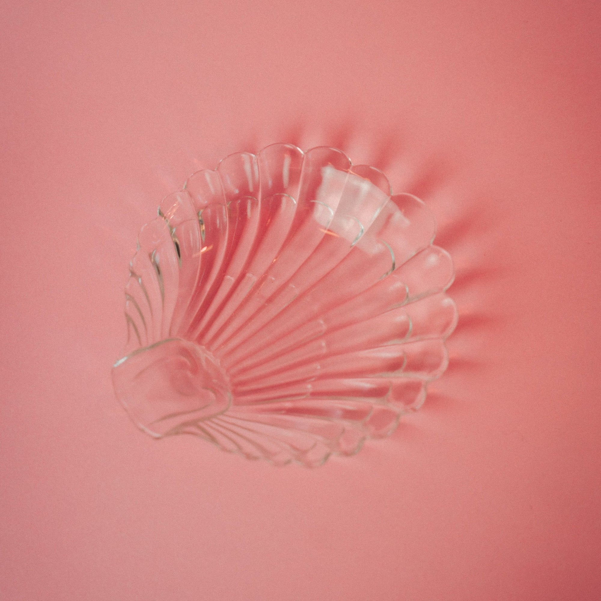 Shell Dish