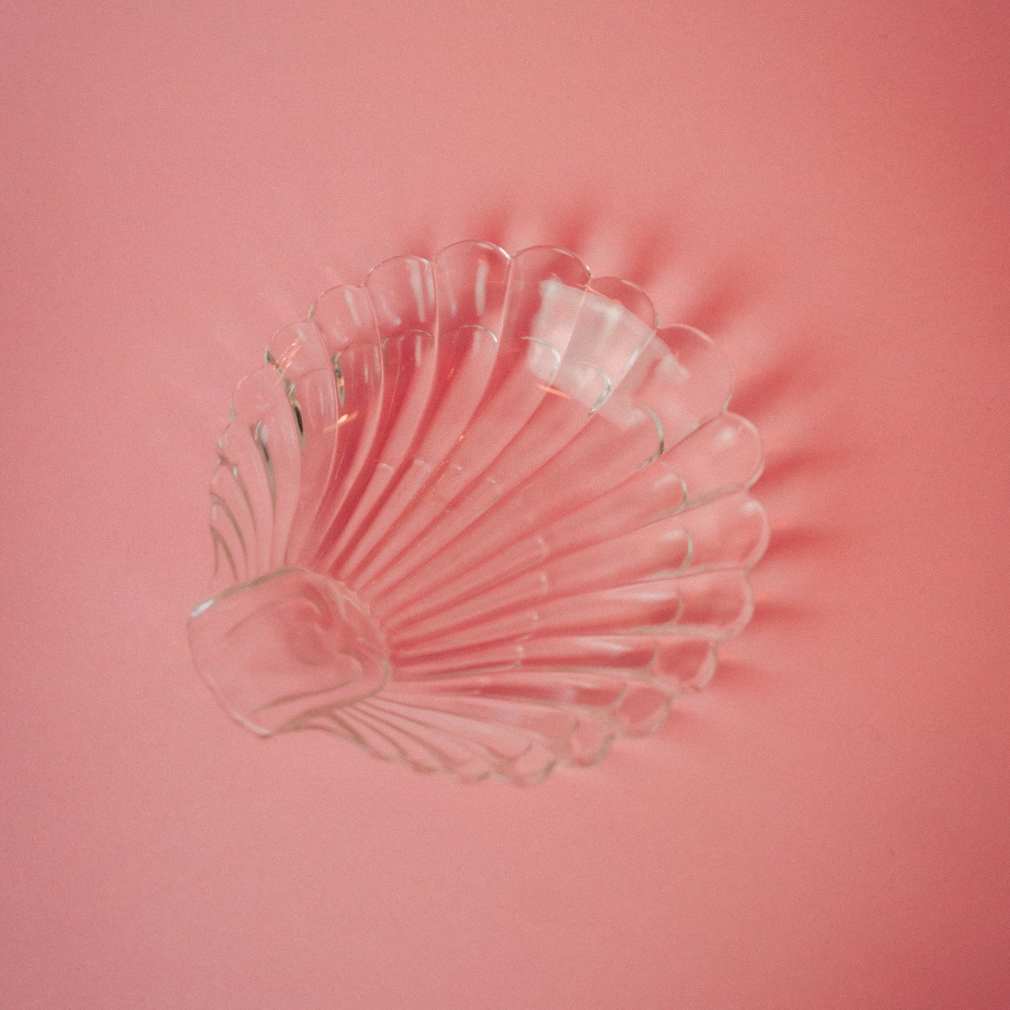 Shell Dish