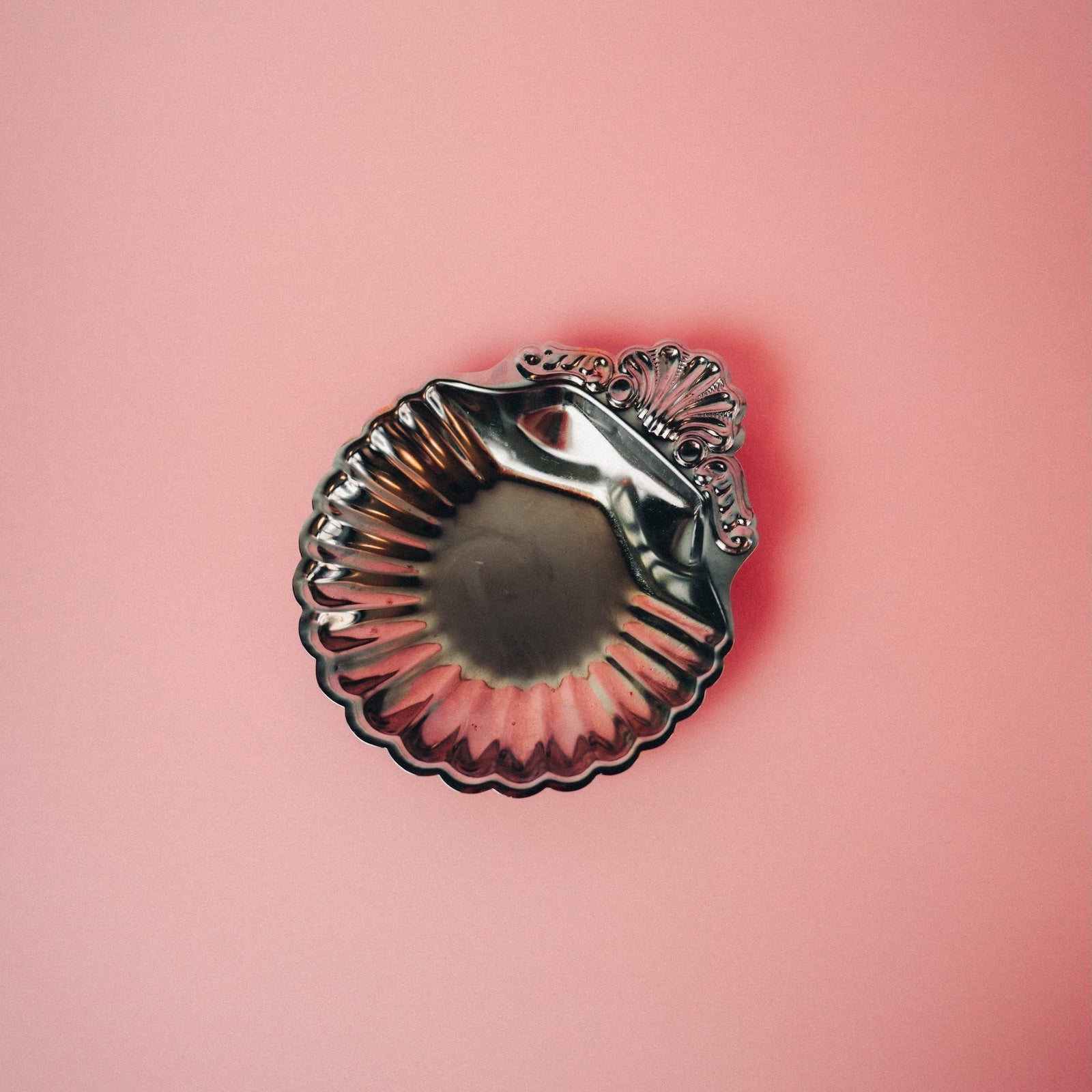 Shell Dish Stainless Steel