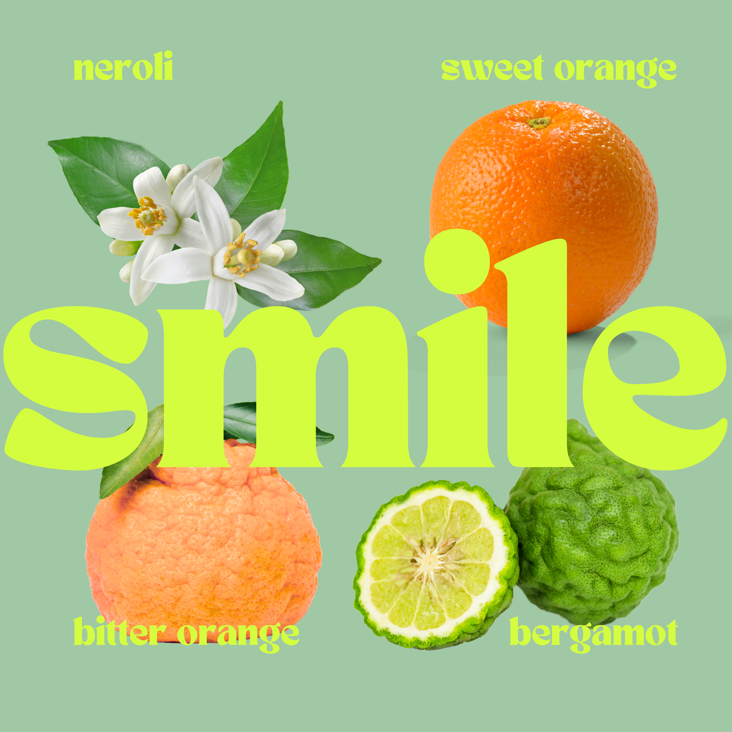 SEX: The Seductive Candle Refill
