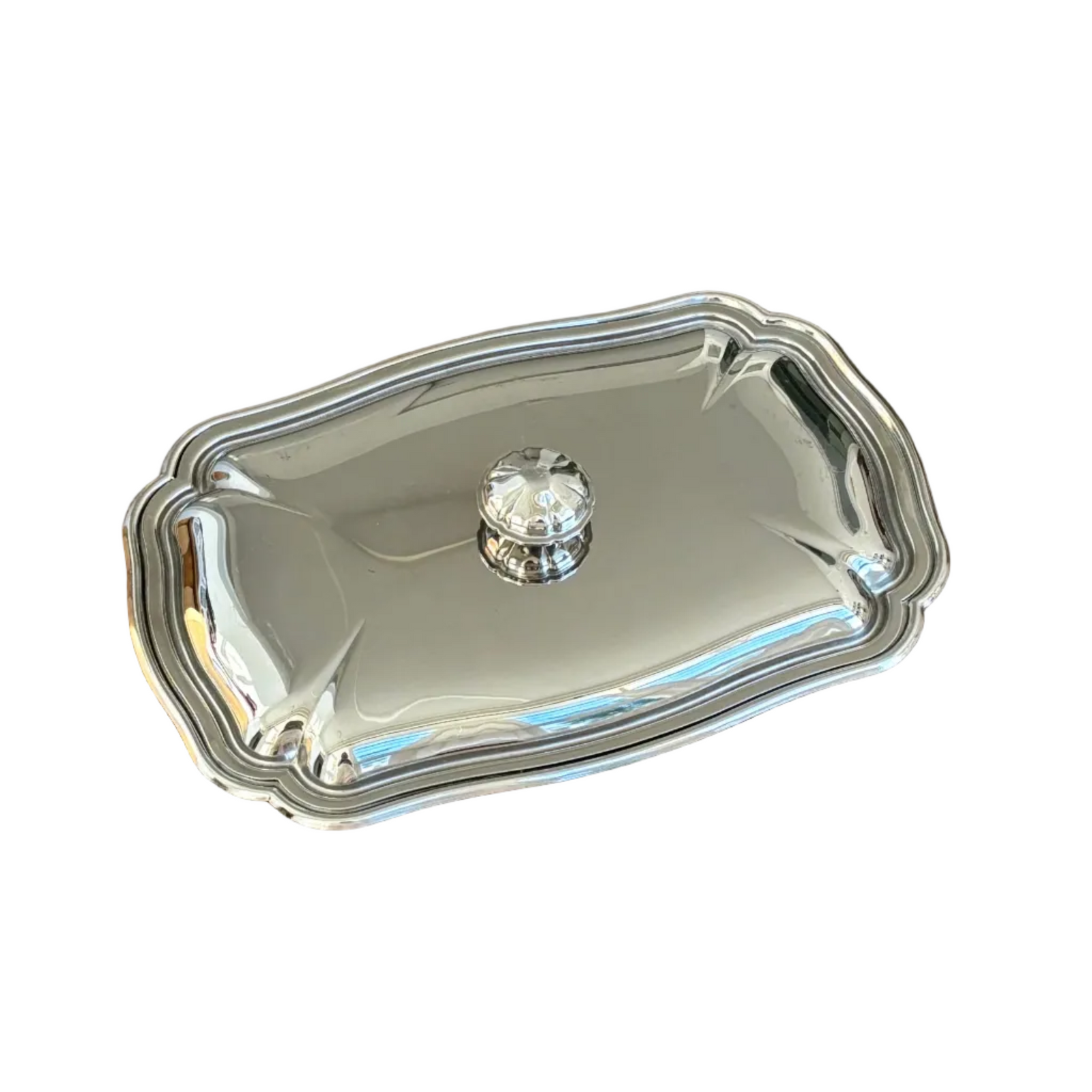Stainless Steel Dish With Lid