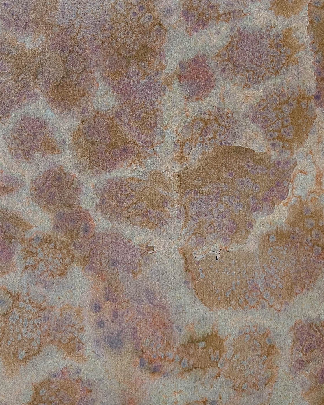 close up of cape greco wallpaper in rattan