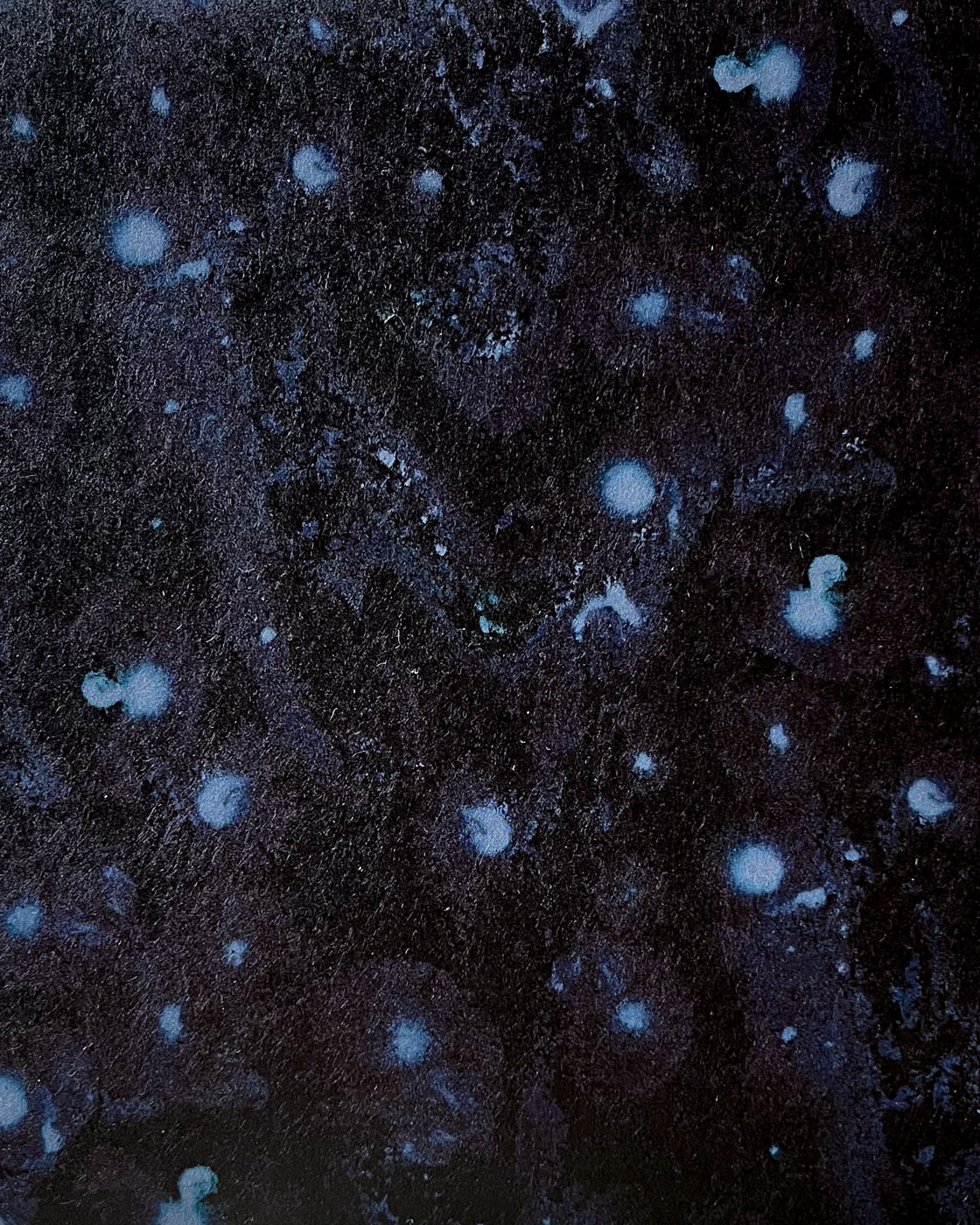 Selene wallpaper in midnight blue close up